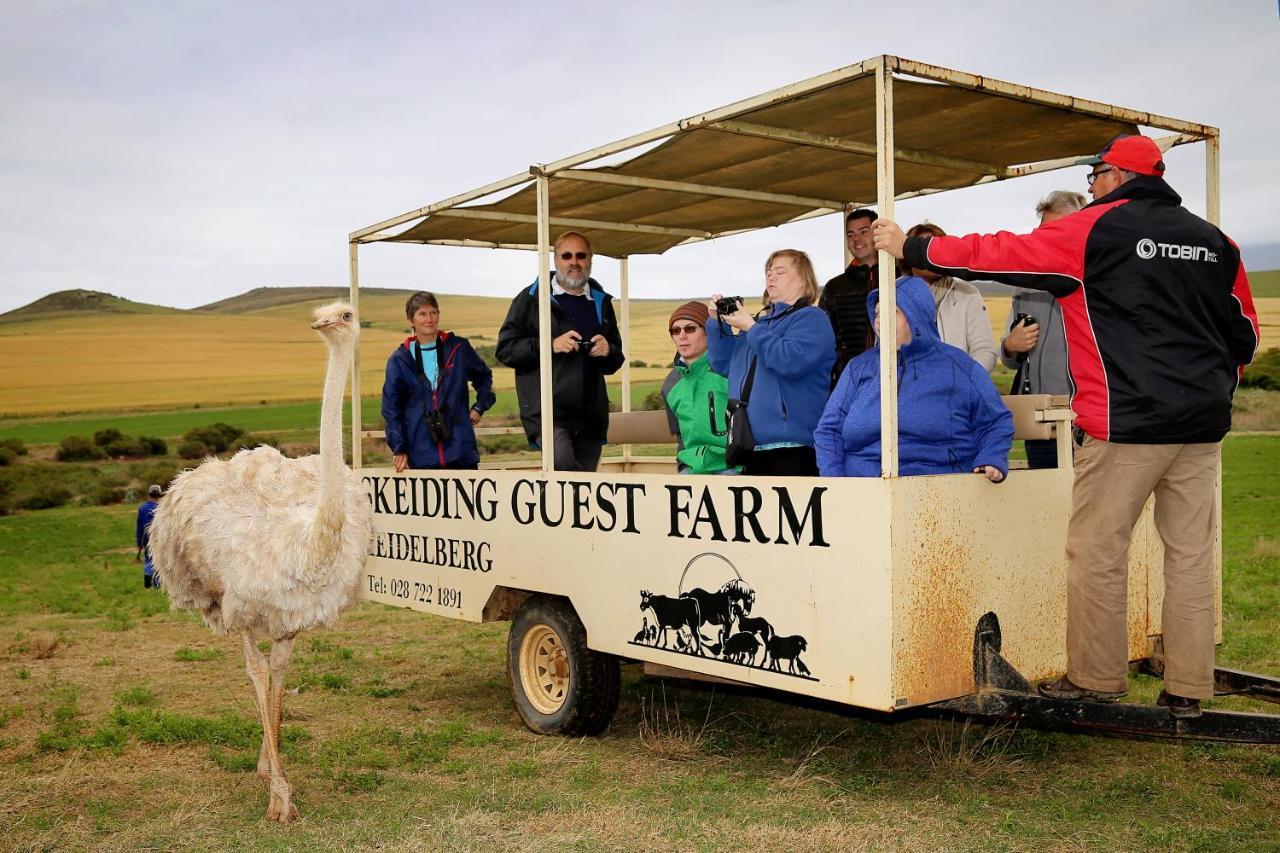 מלון היידלברג Skeiding Guest Farm מראה חיצוני תמונה